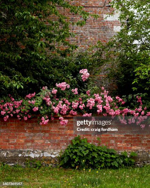 english countryside in spring 2 - grünstreifen stock-fotos und bilder