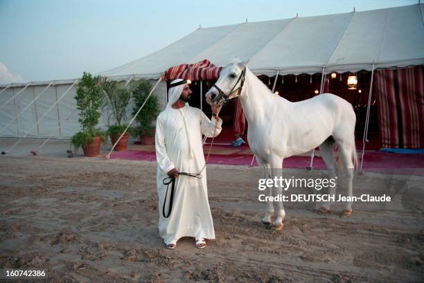 The Sheikh Mohammed Al Maktoum, Crown Prince Of The City Of Dubai. Aux Émirats, à Dubäi, le 15 novembre 1993. Le cheikh Mohammed Ben Rached...