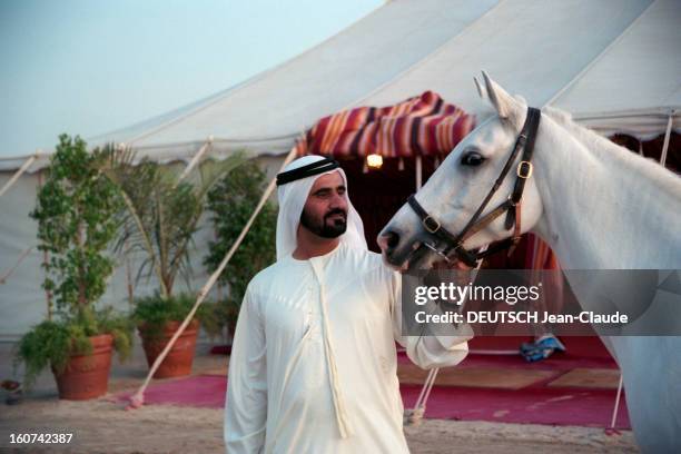 The Sheikh Mohammed Al Maktoum, Crown Prince Of The City Of Dubai. Aux Émirats, à Dubäi, le 15 novembre 1993. Le cheikh Mohammed Ben Rached...