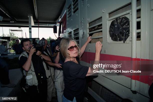 Brigitte Bardot Launches A Campaign In Italy Against The Carriage Conditions Of Animals For Slaughter. En Italie, en juin 2000, Brigitte BARDOT au...