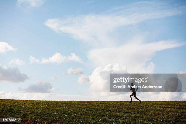 Running In Field 26 Anders Run Natural Area Stock Photos, High-Res Pictures, and Images ...