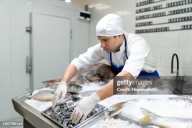 caucasian fishmonger organizing a container with sardines on ice display at a fish market - smelling food stock pictures, royalty-free photos & images