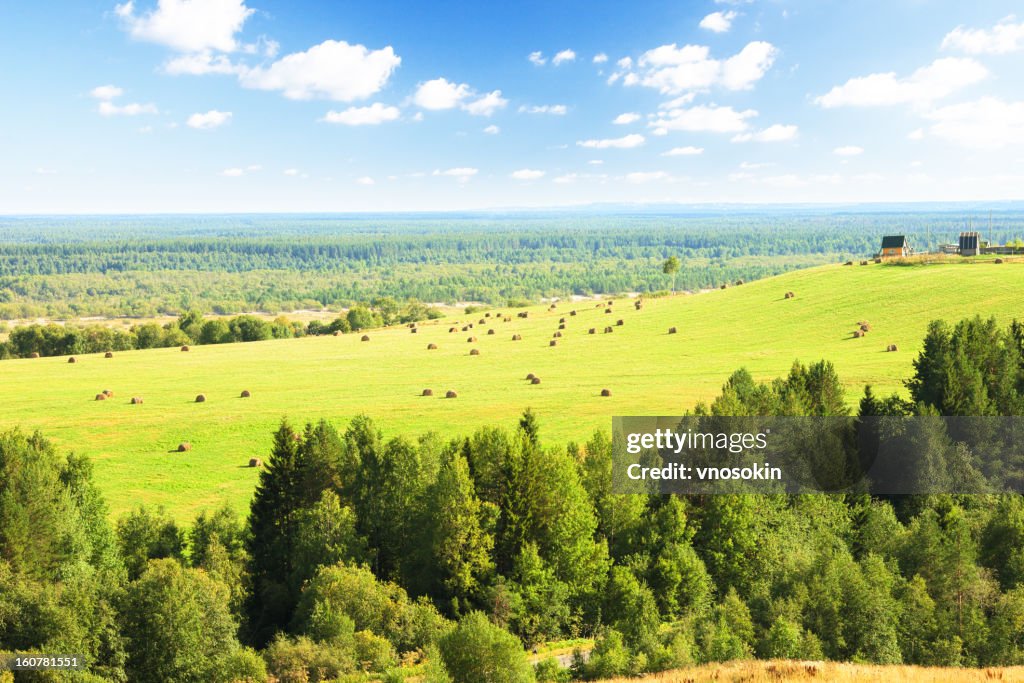 Summer rural landscape