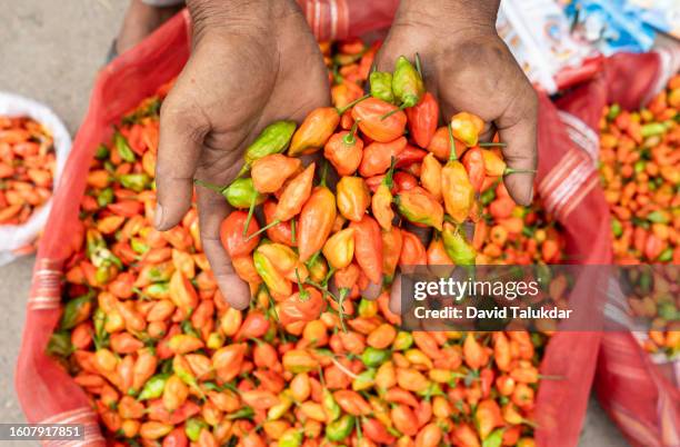 vendor selling ghost pepper - nagaland stock pictures, royalty-free photos & images