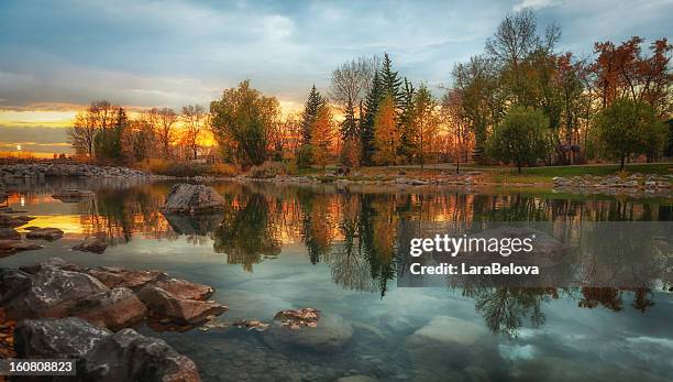 prince's island park - calgary stock pictures, royalty-free photos & images