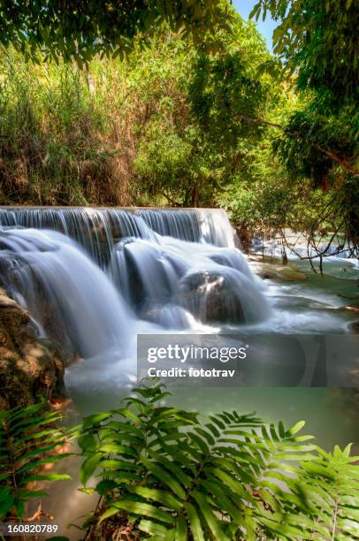 flowing water under trees - laos waterfall - kuang si falls stock pictures, royalty-free photos & images