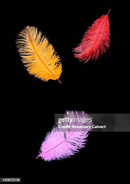 three floating feathers in bright colours. - falling feathers stock pictures, royalty-free photos & images