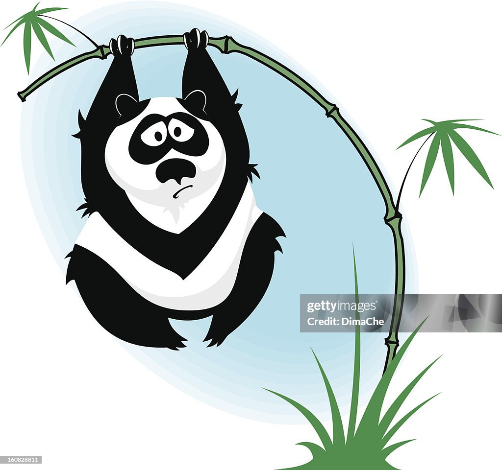 Panda auf Bambus