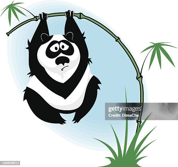 panda on the bamboo - panda stock illustrations
