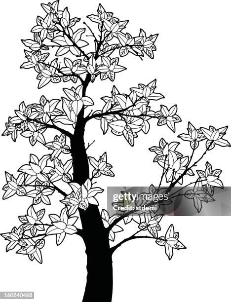 tree - cherry blossom tree silhouette stock illustrations
