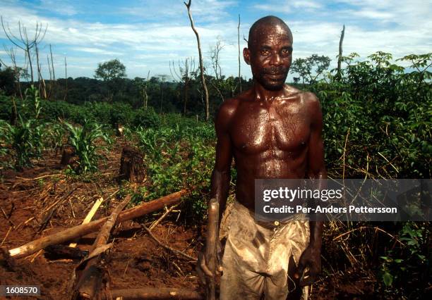 An man works as a logger in the rainforest April 10 in Kikwit, The Democratic Republic of Congo. Kikvit was the center of an Ebola outbreak in 1995...