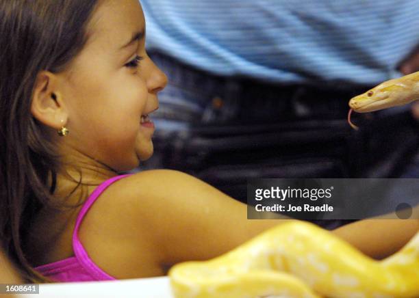 Jessica Burstein, three, reacts to a Albino Burmese Python sticking its tongue out at her August 12, 2001 during the third annual Snake Day at the...