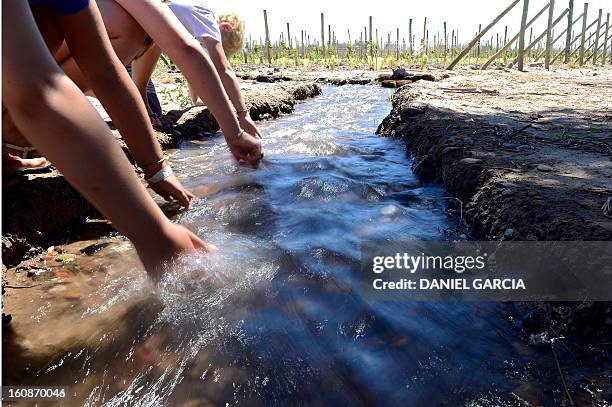 Children wet their hands in a canal with running water - a scarce resource in the area - alongside a vineyeard at Joaquin Villanueva farm, part of...