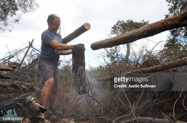 Zoltan Balogh clears away trees that were burned by wildfire on August 11, 2023 in Kula, Hawaii. Dozens of people were killed and thousands were...