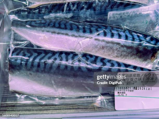 frozen boned mackerel fillets from norway, salted and vacuum sealed in airtight plastic bags - frozen fish fillets stockfoto's en -beelden