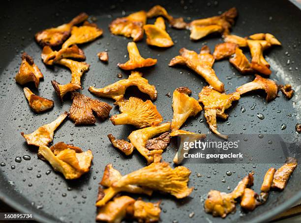 pan frying chanterelle mushrooms - polytetrafluoroethylene stock pictures, royalty-free photos & images
