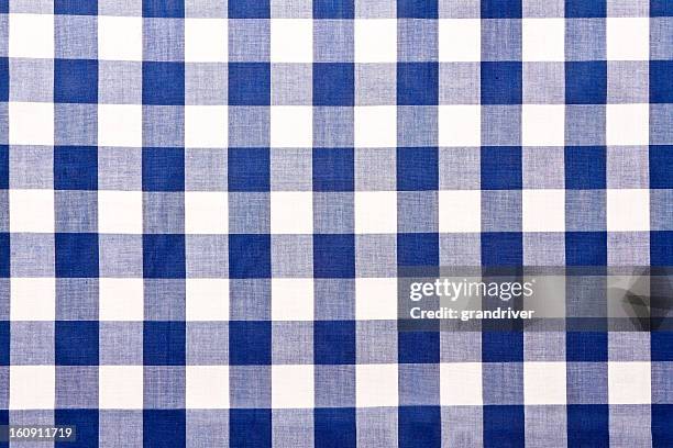 cuadro vichy tabla de tela azul ajedrezada - tartan fotografías e imágenes de stock