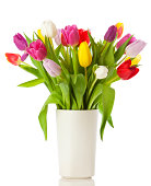 Tulip bouquet in a vase isolated