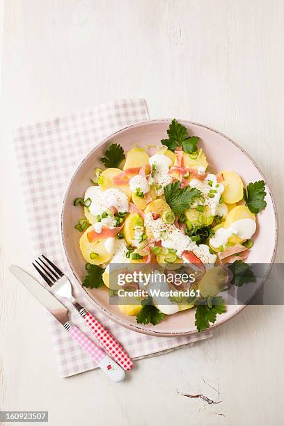 potato salad garnished with spring onions, parsley and mayonnaise, close up - potato salad stock-fotos und bilder