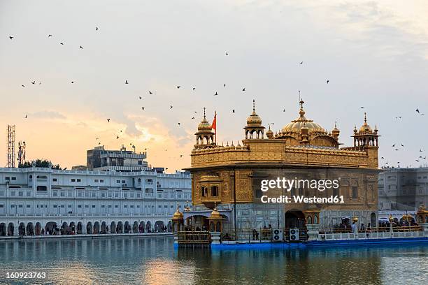 india, punjab, amritsar, view of golden temple - amritsar stock-fotos und bilder