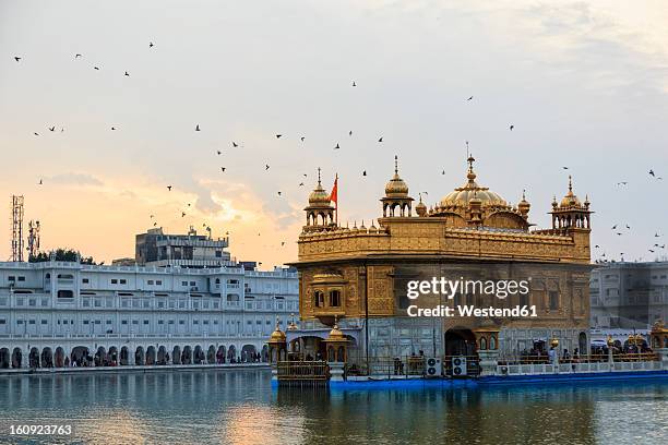 india, punjab, amritsar, view of golden temple - amritsar imagens e fotografias de stock