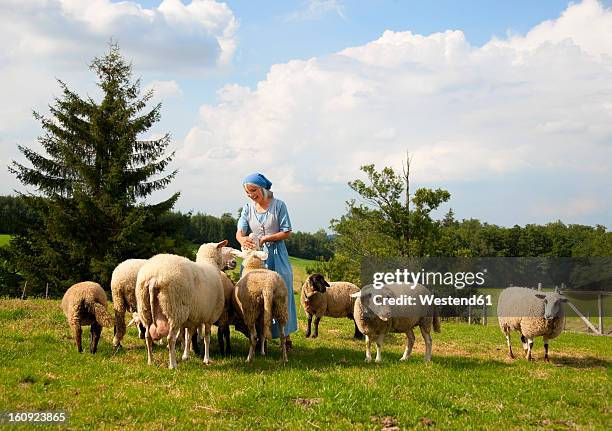 germany, bavaria, mature woman caressing sheep on farm - bauer bayern stock-fotos und bilder