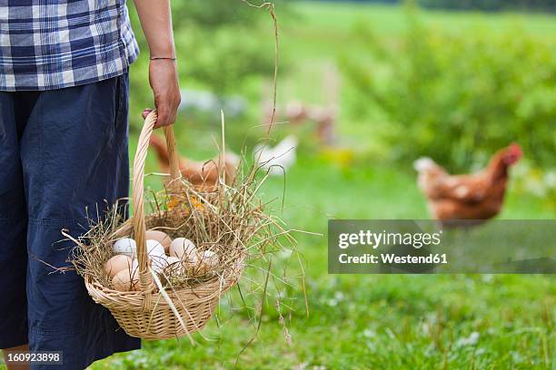 germany, bavaria, boy with basket of eggs and chicken on farm - élevage-en-plein-air photos et images de collection