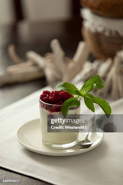 glass of cream with raspberry and stevia, close up - stevia stock pictures, royalty-free photos & images