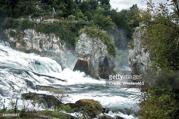 switzerland, schaffhausen, view of rhein falls - chutes du rhin photos et images de collection