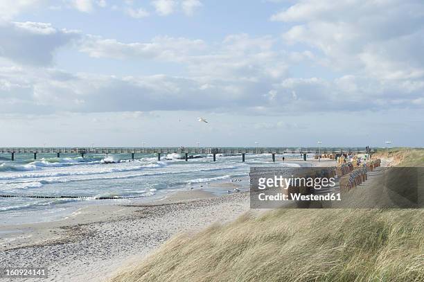 germany, mecklenburg western pomerania, seagull flying at baltc sea - usedom photos et images de collection