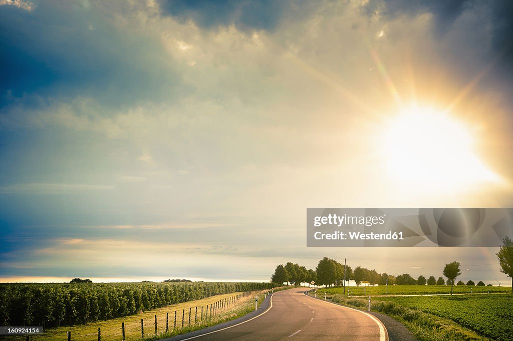 Germany, Saxony, Road through farm land