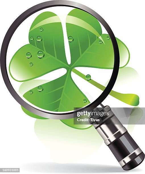 nature study - leaf under microscope stock illustrations