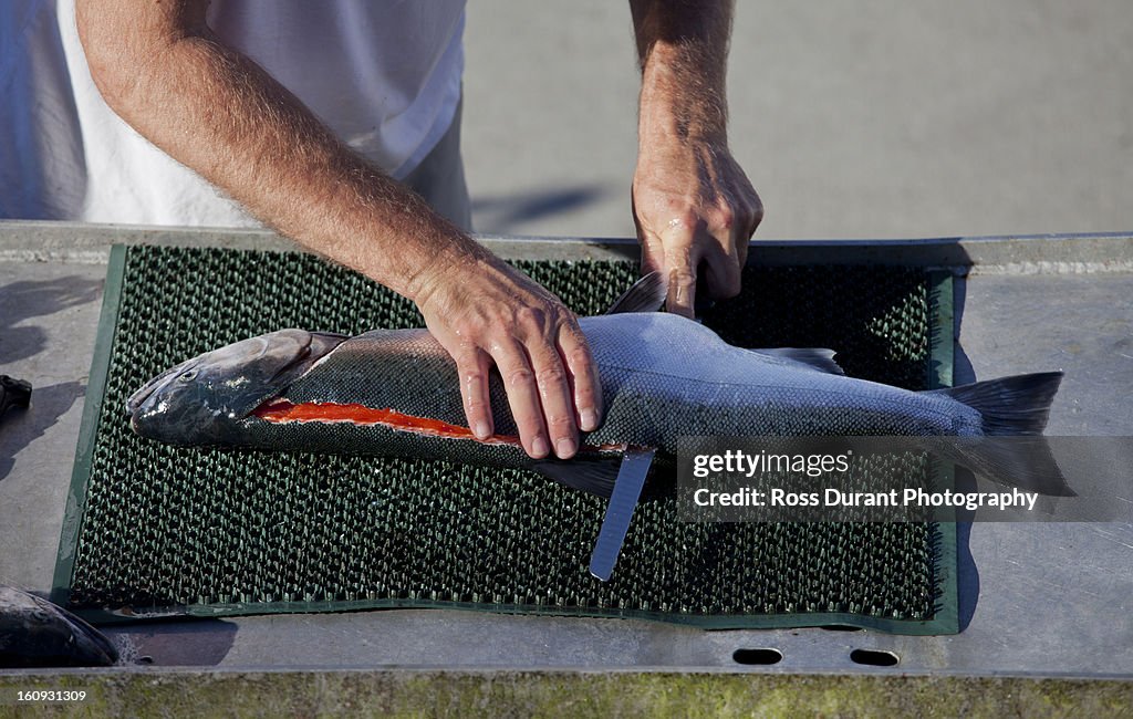 A man filleting a salmon