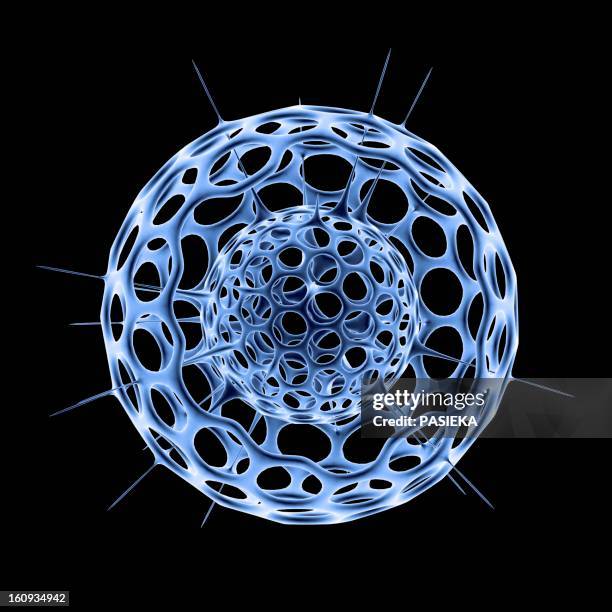 radiolarian skeleton, artwork - plancton photos et images de collection