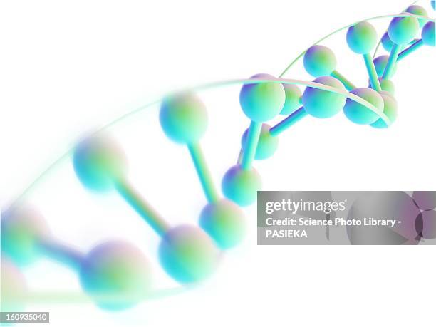 dna molecule, computer artwork - helix stock-grafiken, -clipart, -cartoons und -symbole