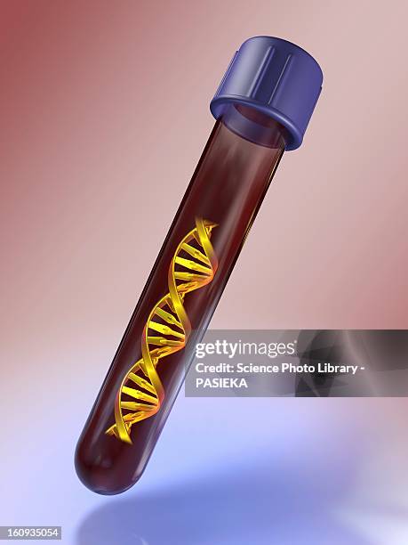 medical test tube with blood and dna - dna test stock illustrations