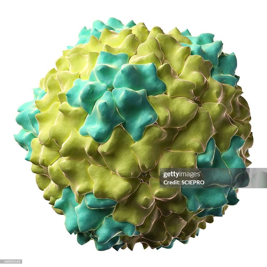 Cocksfoot mottle virus, artwork