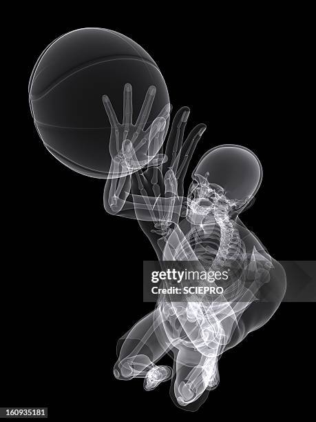 basketball player, artwork - ballon de basket stock illustrations