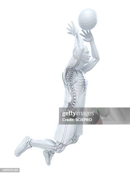 basketball player, artwork - ballon de basket stock illustrations