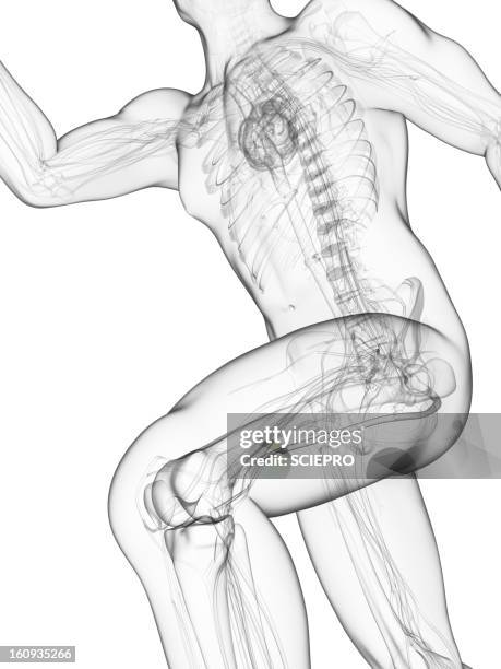 sprinter, artwork - leaning forward stock illustrations