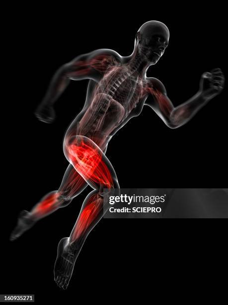 sprinter, artwork - leaning forward stock illustrations