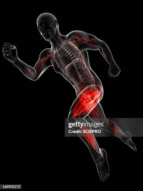 sprinter, artwork - leaning forward stock illustrations