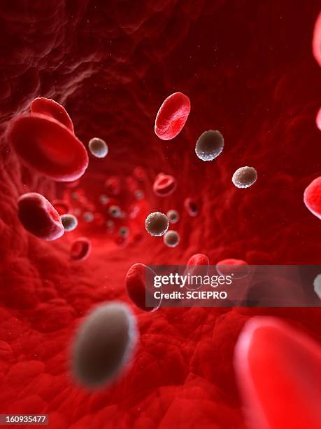 Bloodstream Visual Element Blood Stream Illustration Photos and Premium High Res Pictures - Getty ...