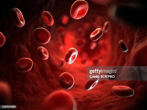 red blood cells, artwork - hematology 幅插畫檔、美工圖案、卡通及圖標