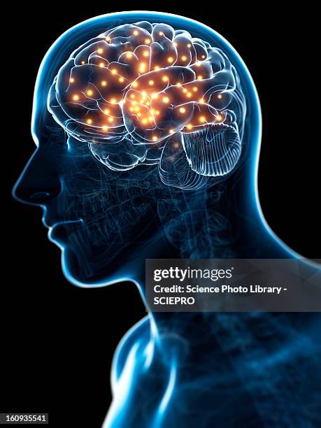 stockillustraties, clipart, cartoons en iconen met brain activity, conceptual artwork - human head