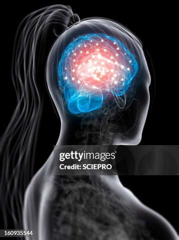 Brain activity, conceptual artwork Brain activity, conceptual artwork
