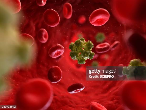 hpv infection, artwork - t cell stock illustrations