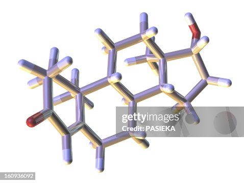 Testosterone Module Testosterone Hormone Molecular Model High-Res Vector Graphic - Getty Images