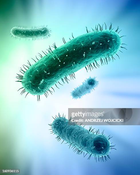 bacteria, artwork - bacterium stock illustrations