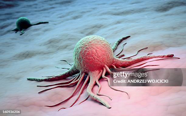 cancer cells, artwork - krebszelle stock-grafiken, -clipart, -cartoons und -symbole